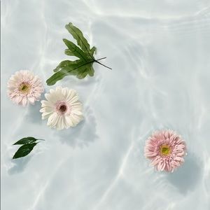 Meet your Posher, Jessie